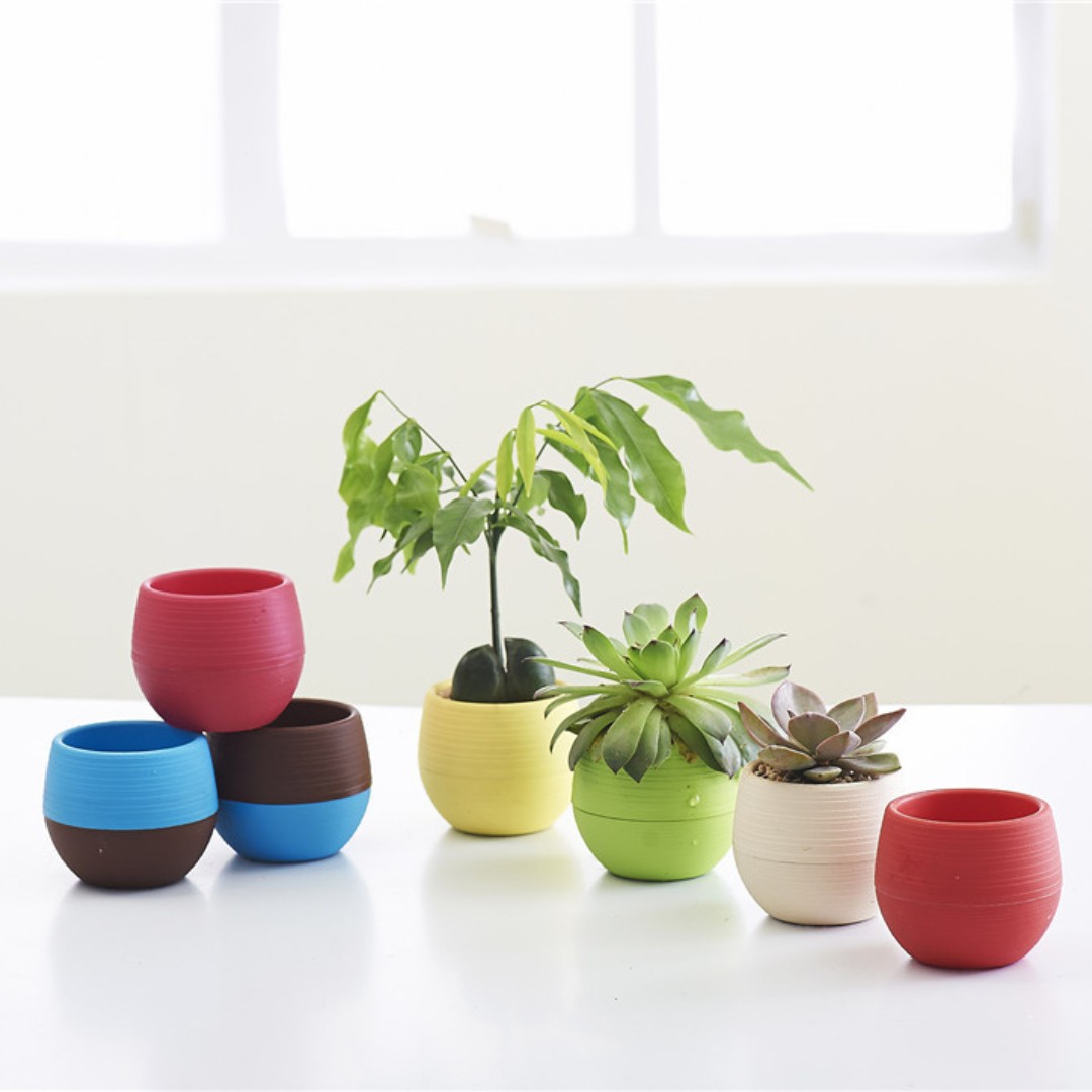 Bonsai Garden Europe - Mini macetas de plástico para jardinería,