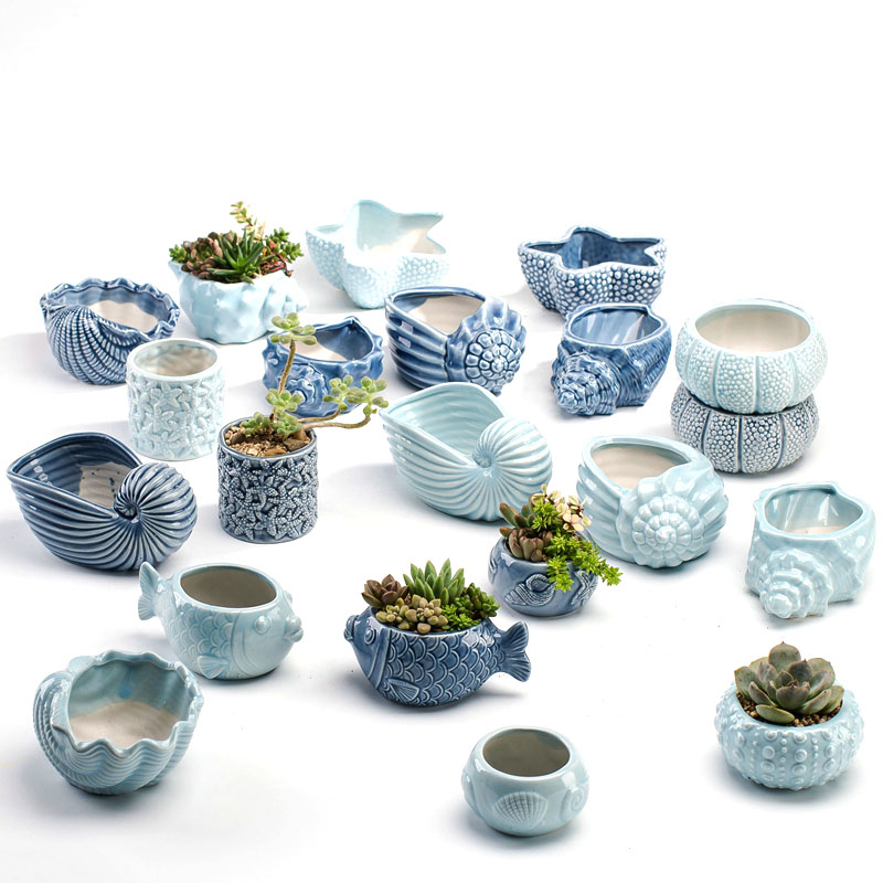 Bonsai Garden Europe - Maceta de Porcelana Azul con Diseño