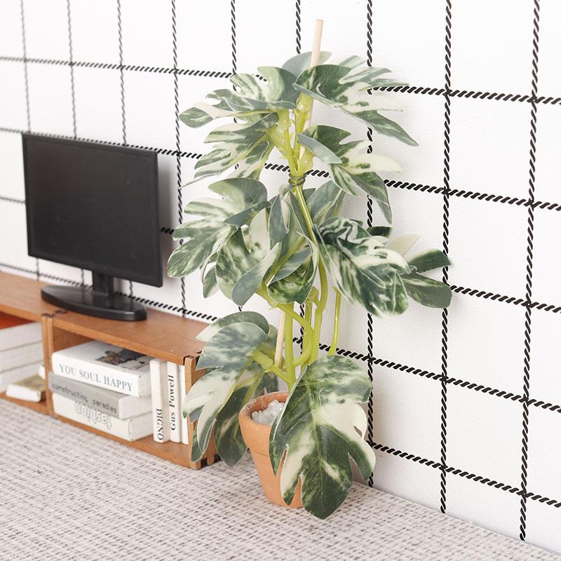 Plantas Verdes de Simulación 1 - Bonsai Garden Europe reseña y precio