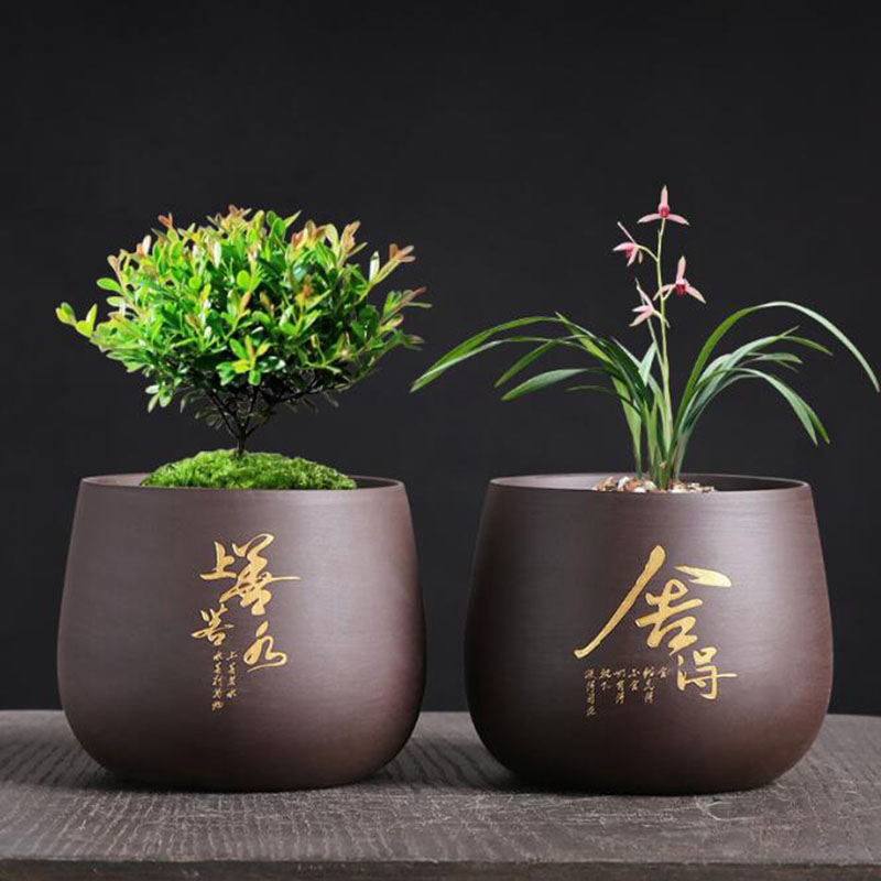 Maceta de flores de arcilla pú - Bonsai Garden Europe reseña y precio