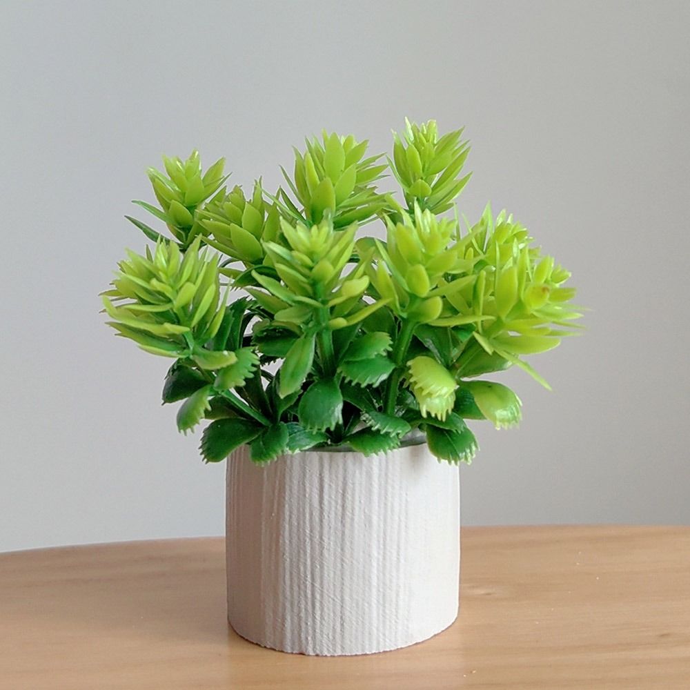 Planta en Maceta a Escala 1:6  - Bonsai Garden Europe reseña y precio