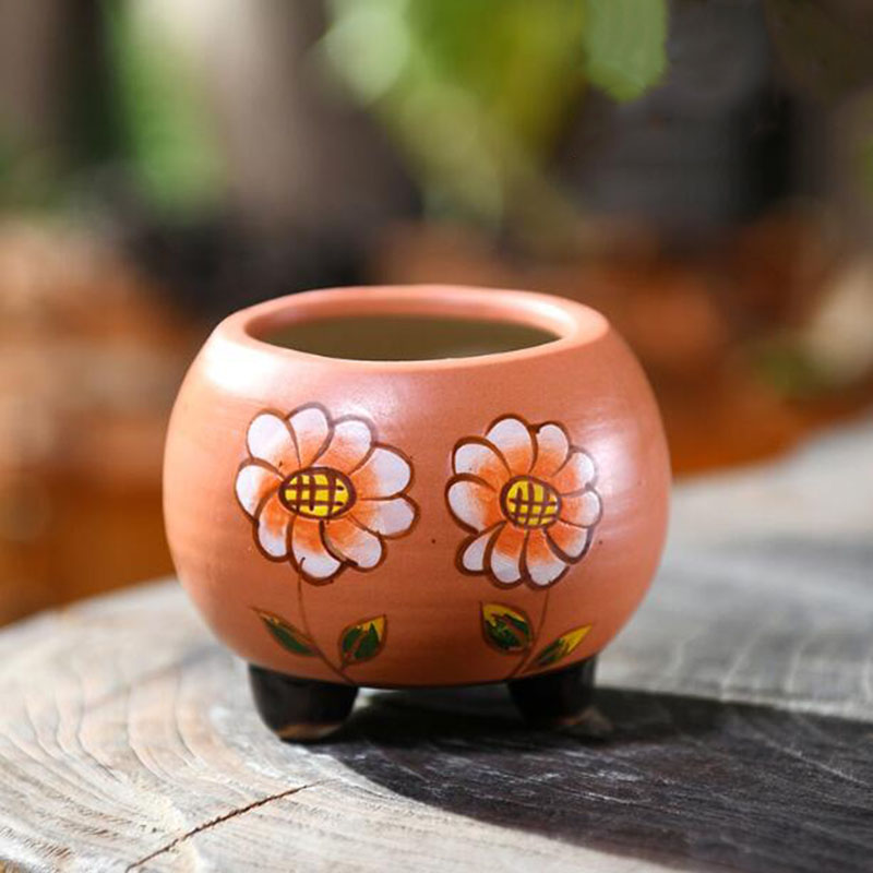 6 unids/set porcelana pintada  - Bonsai Garden Europe reseña y precio