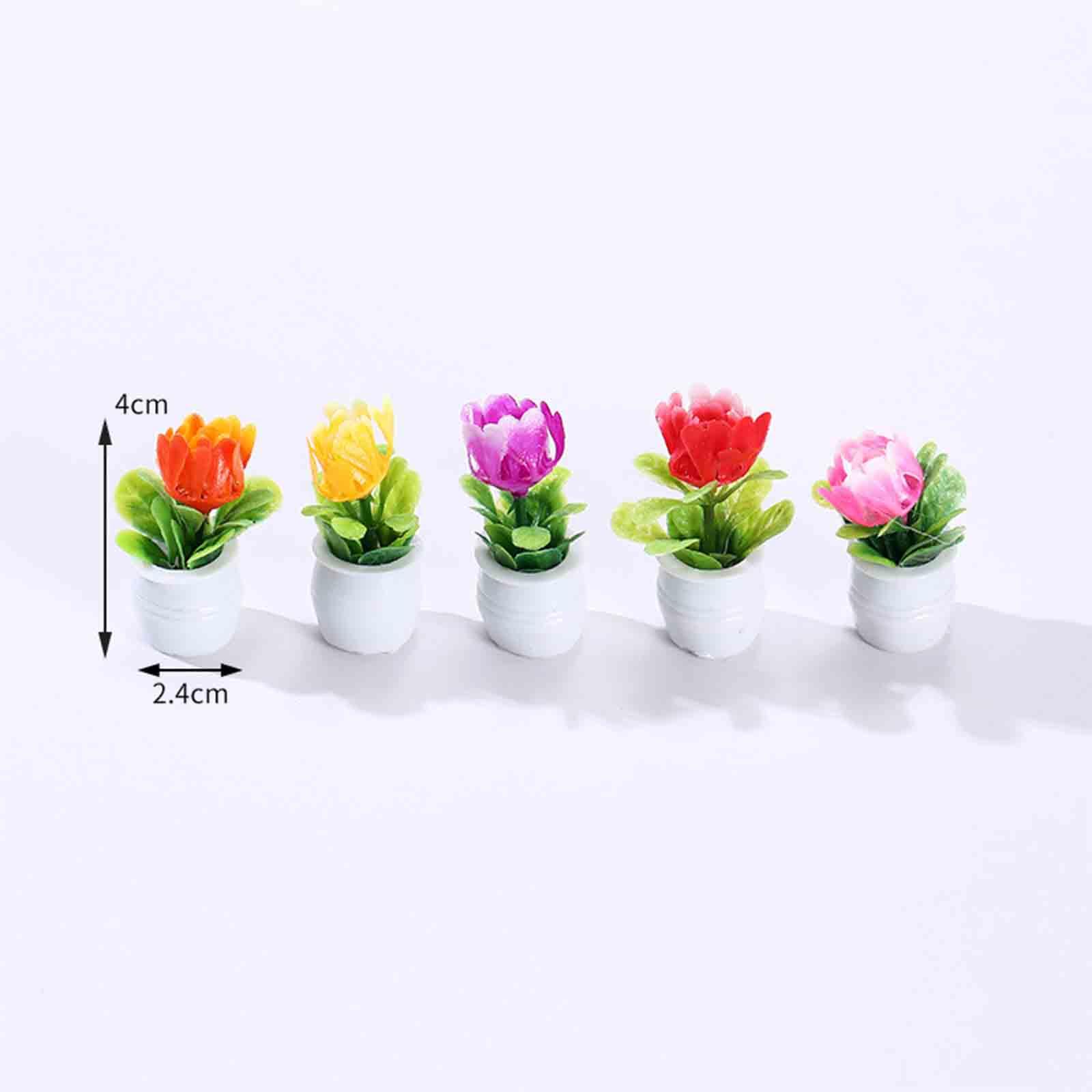 Maceta en miniatura para casa  - Bonsai Garden Europe reseña y precio