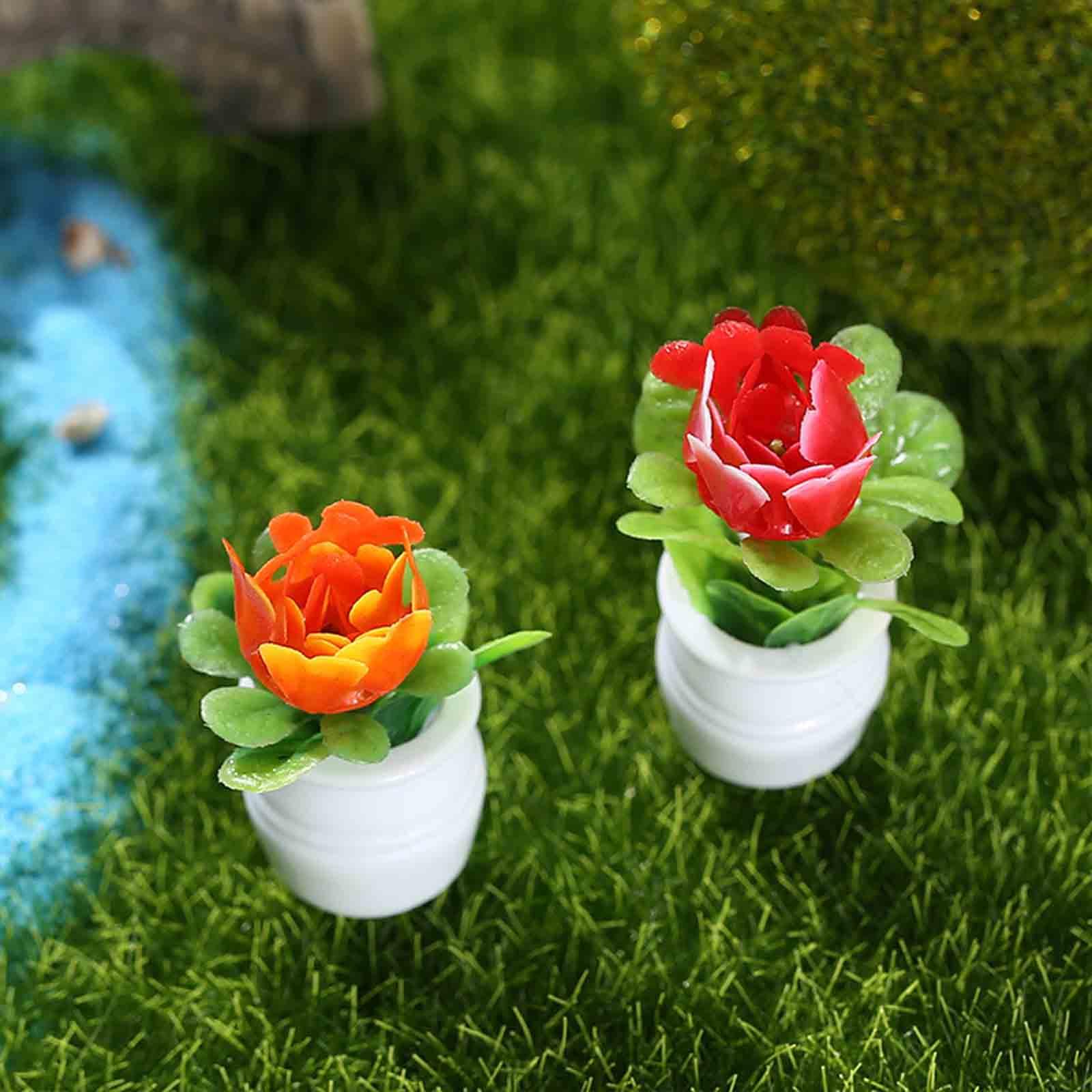 Maceta en miniatura para casa  - Bonsai Garden Europe reseña y precio