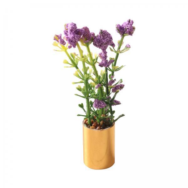 Adorno de Planta en Maceta en  - Bonsai Garden Europe reseña y precio