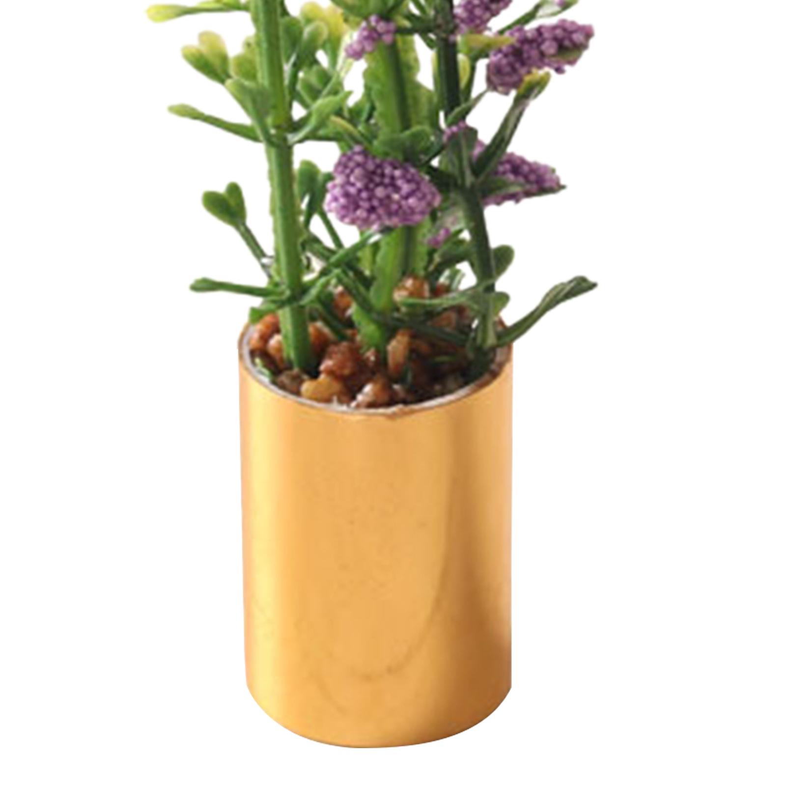 Adorno de Planta en Maceta en  - Bonsai Garden Europe reseña y precio