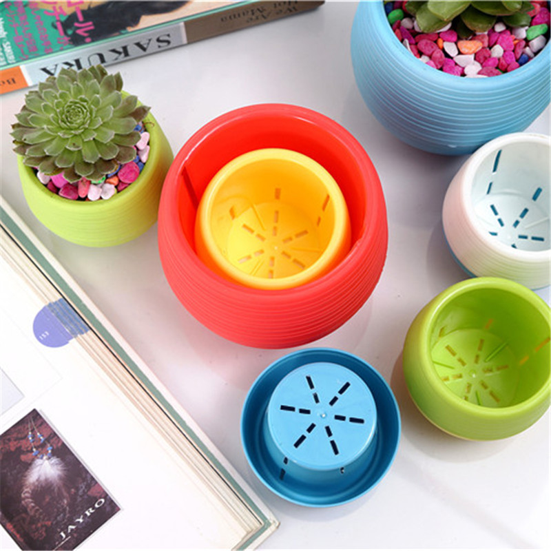 Mini macetas de plástico para  - Bonsai Garden Europe reseña y precio
